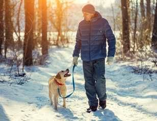 Obedience Training for Cold Weather Walks